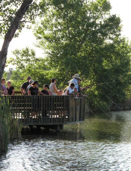 A group of people fish from a wooden deck.